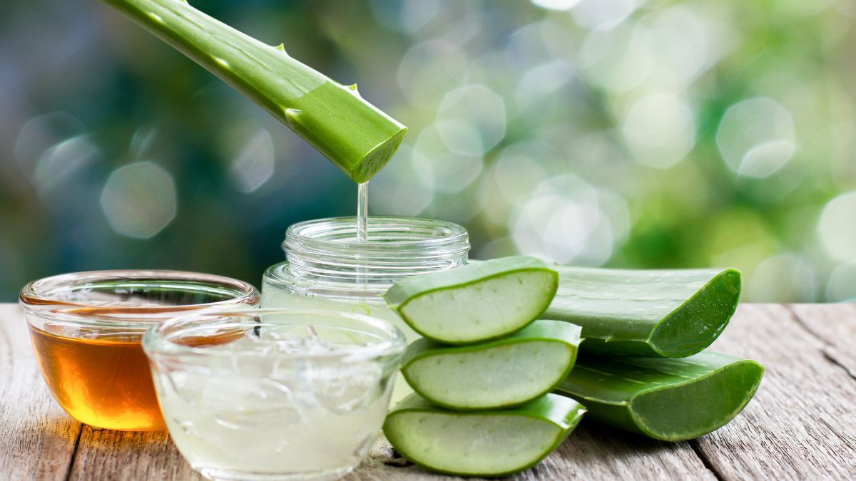 Ingredinte pentru o hidratare mai intensă