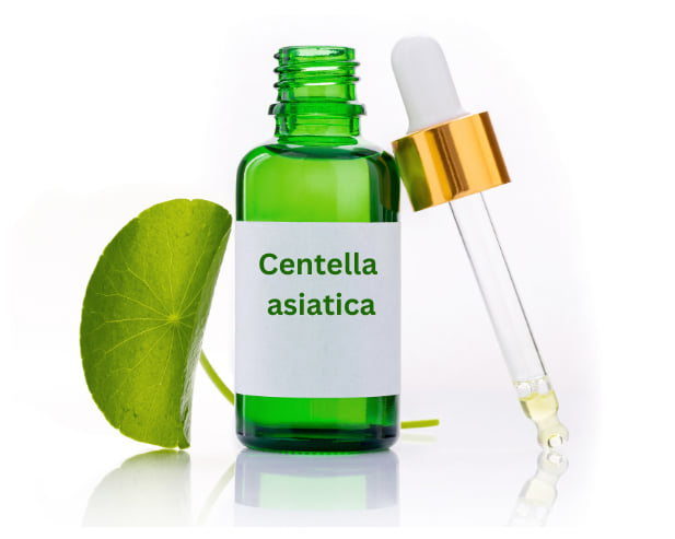 Beneficiile Centellei asiatica